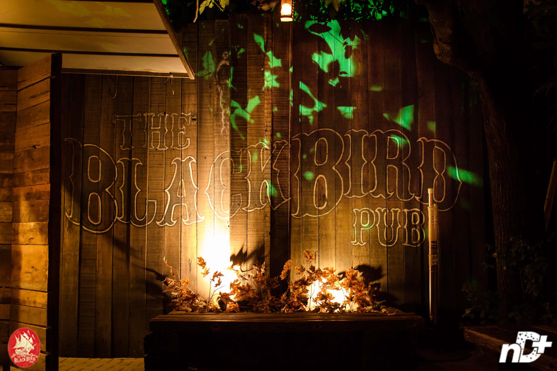 The BlackBird Pub
